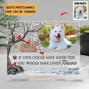 You Were My Favorite Hello And My Hardest Goodbye - Personalized Acrylic Photo Plaque